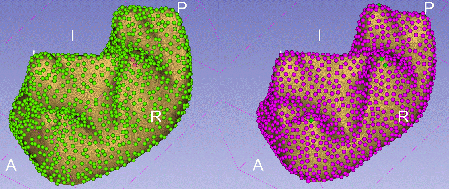 Automated landmarks on two specimens